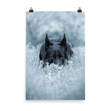 Load image into Gallery viewer, Photo paper poster - VoodooFoxStore
