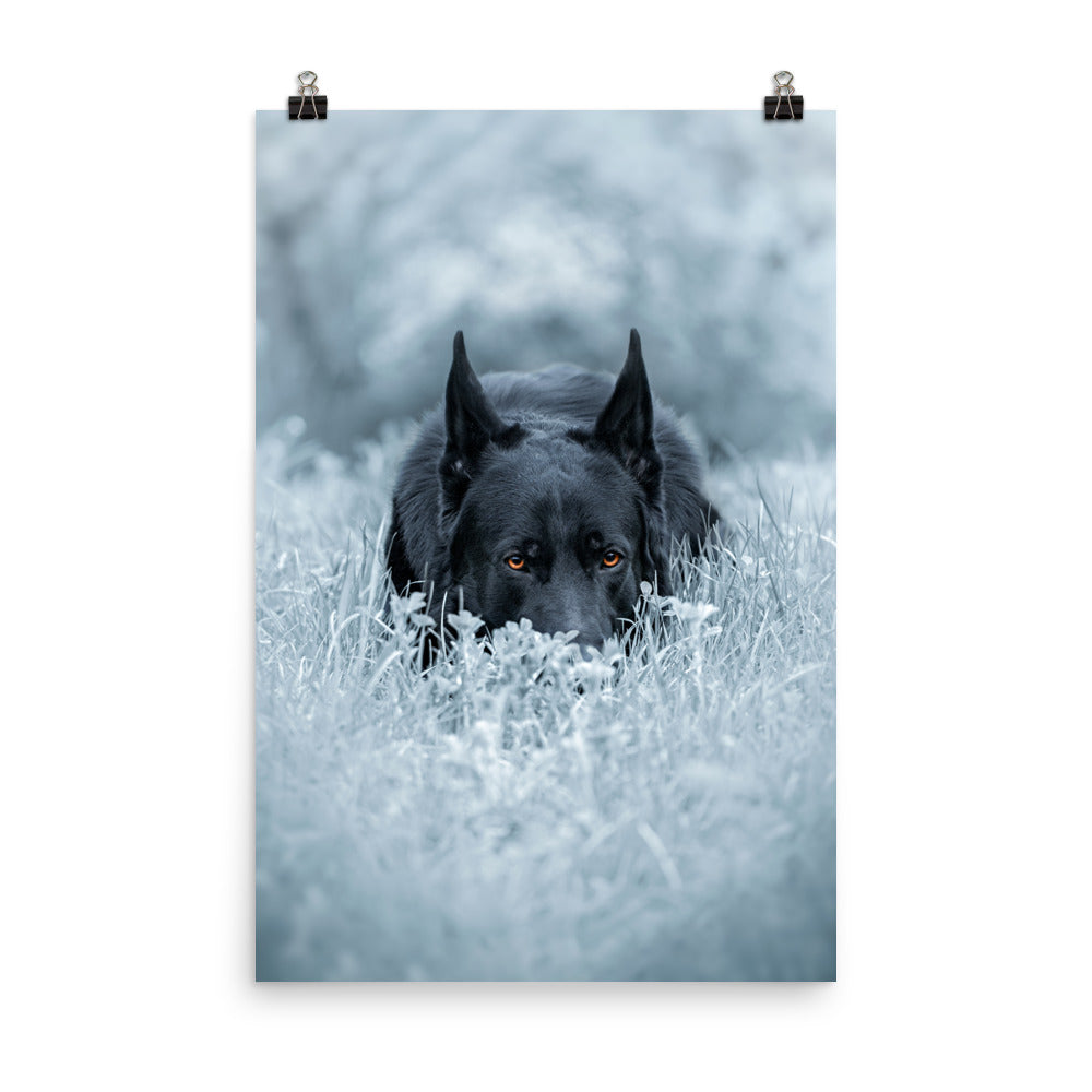 Photo paper poster - VoodooFoxStore