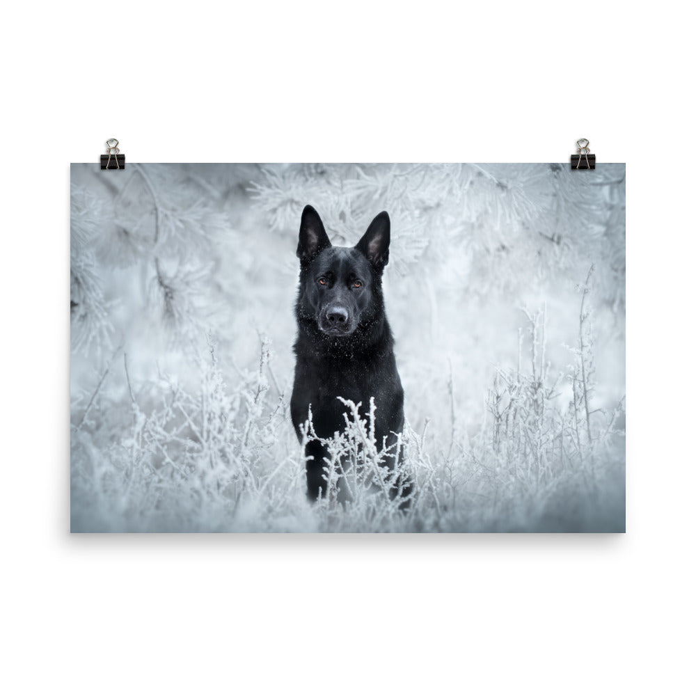 Brick Beauty in frost - Poster - VoodooFoxStore